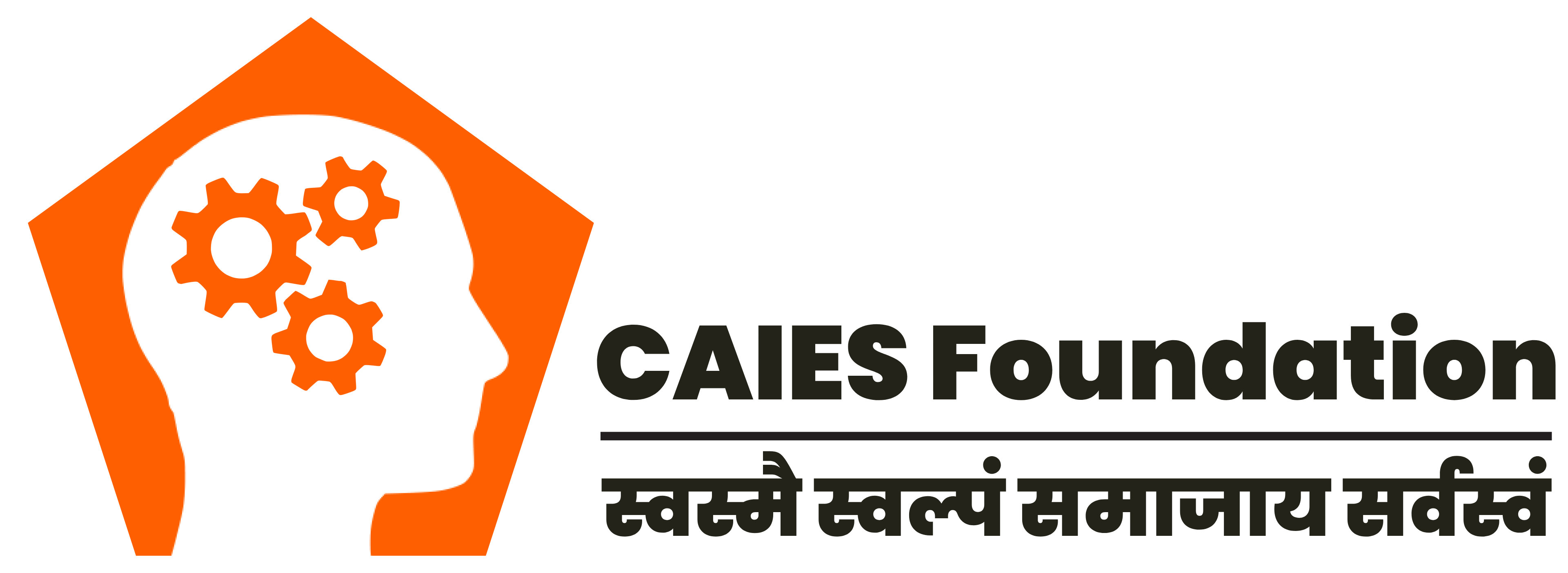 CAIES Foundation Logo